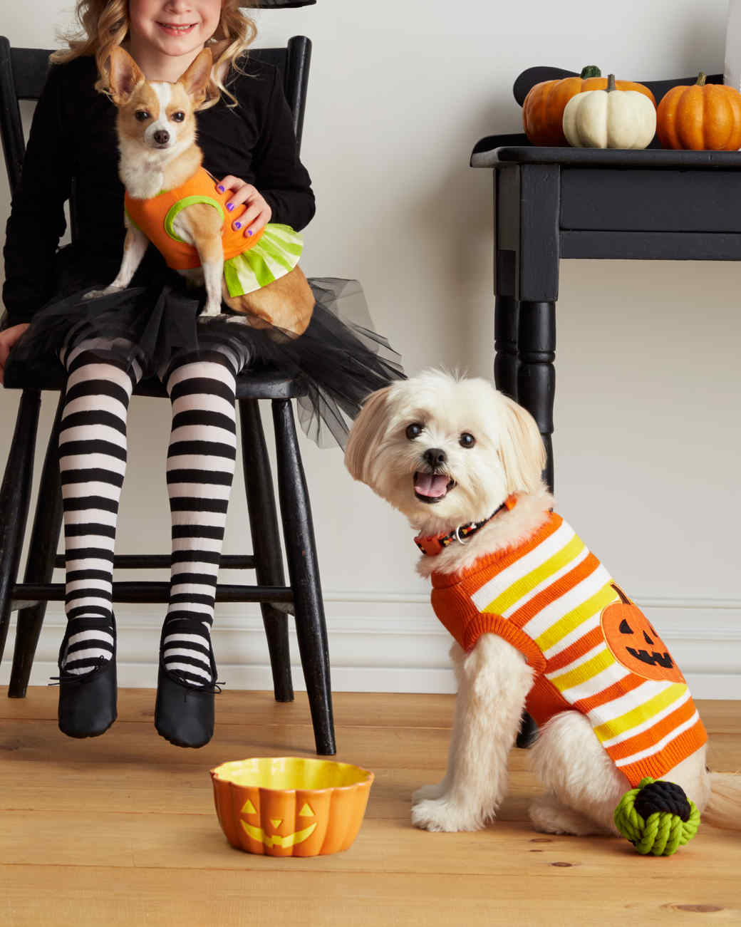 Matching Owner and Dog Costumes for a Pet-rifyingly Cute Halloween ...