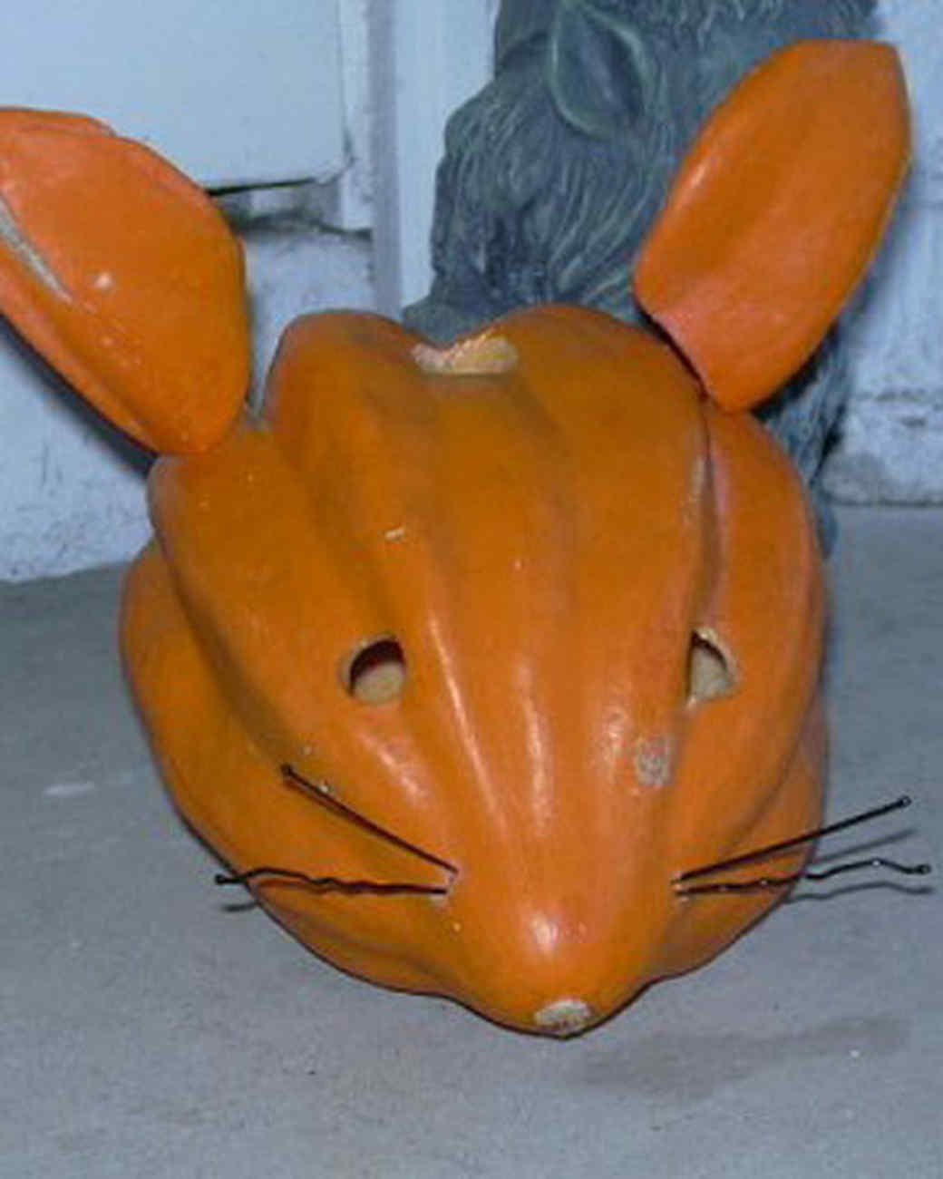 Your Great Pumpkins Martha Stewart