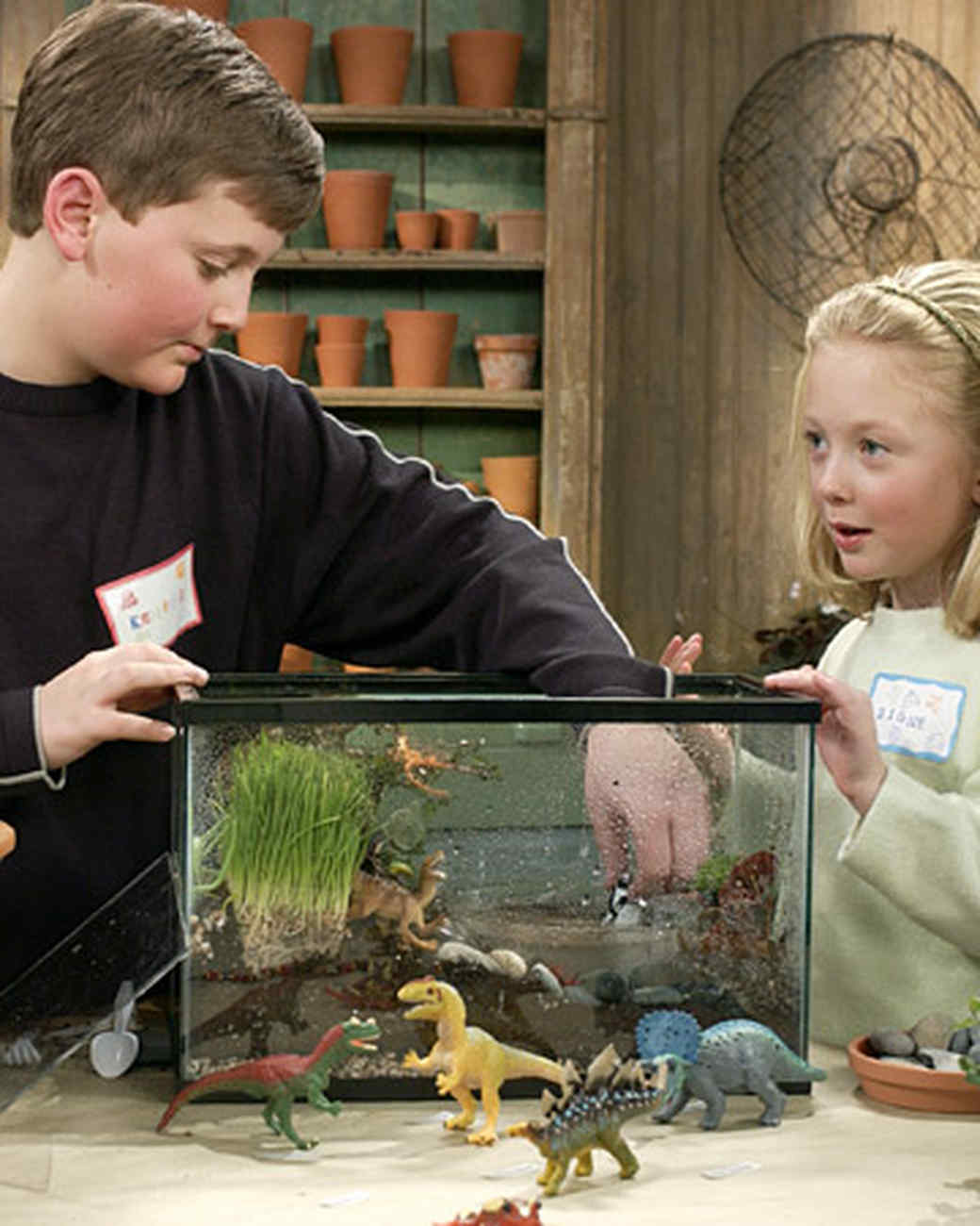 It's Alive! How to Make a Terrarium Martha Stewart