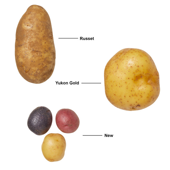 russet yukon gold and new potatoes russet yukon gold and new potatoes