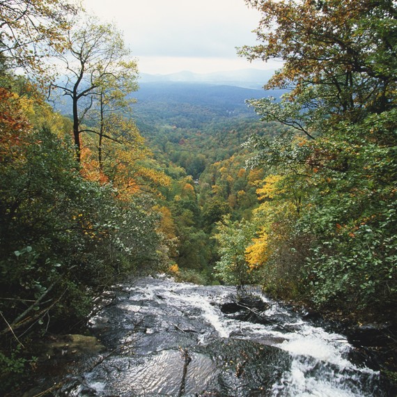getty_amicalola