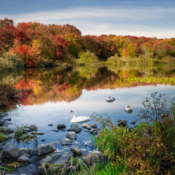 getty_massapequa