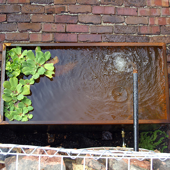 Waterfeature_Bucktown-010616.jpg (skyword:216453)