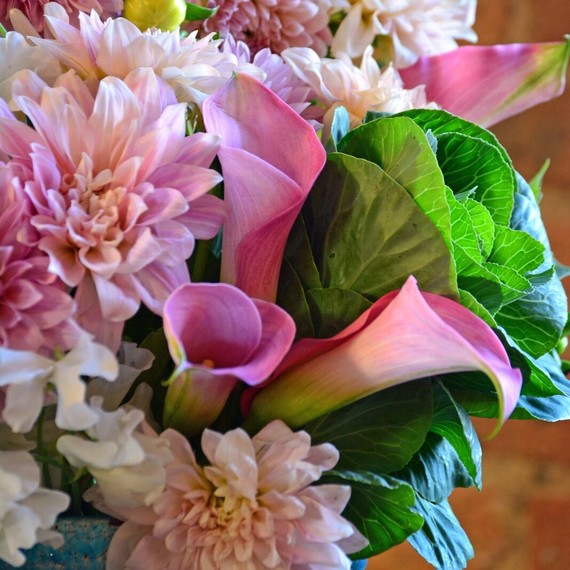 pink-dahlia.jpg (skyword:339352)