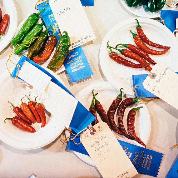 blue ribbon winners blue ribbon winners