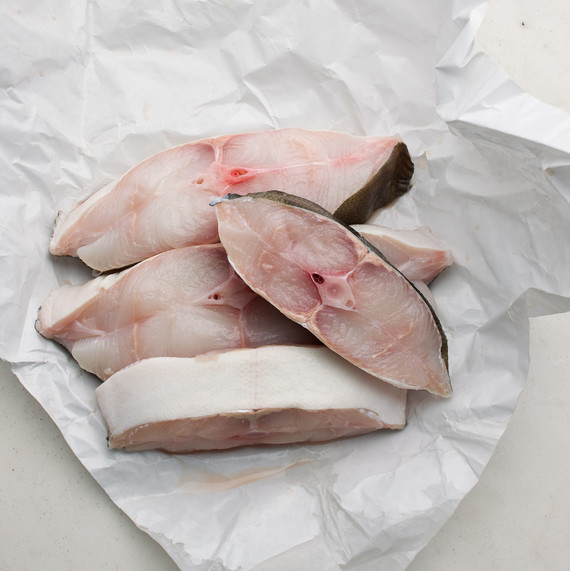 halibut halibut