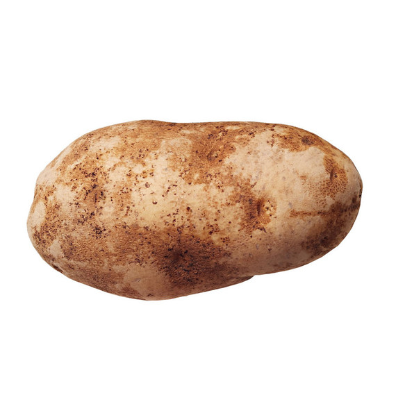 Russet-potato Russet Potato
