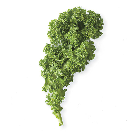 kale-mbd108054.jpg