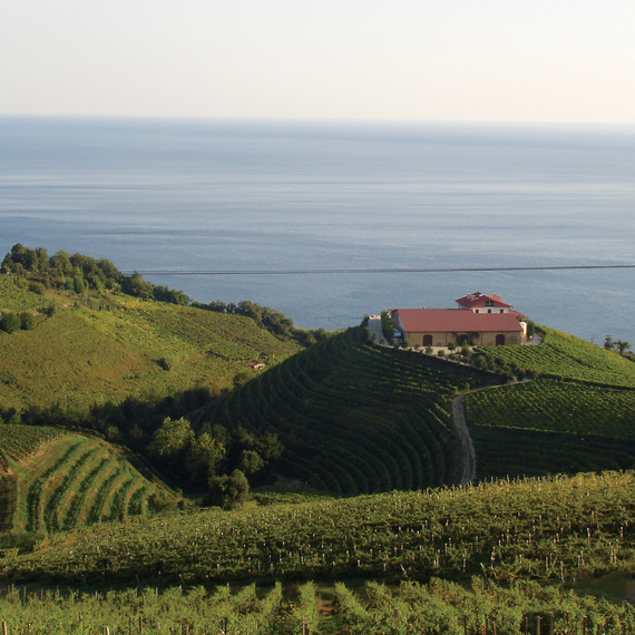 Winery in Basque region of Spain on Atlantic coast Winery in Basque region of Spain on Atlantic coast