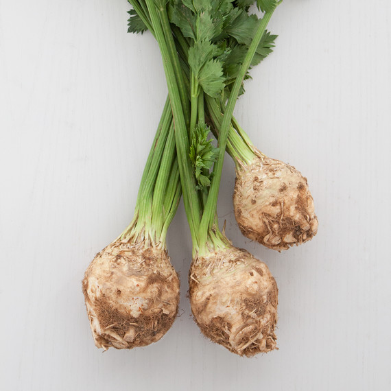 celery-root-021.jpg