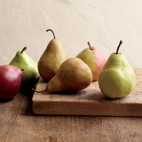 pears-med107508.jpg