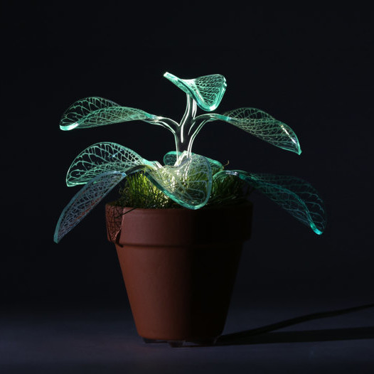 plant lamp plant lamp