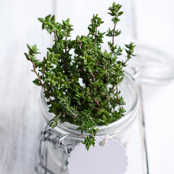 thyme-glass-jar.jpg