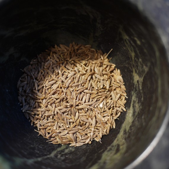 cumin-seeds-0615
