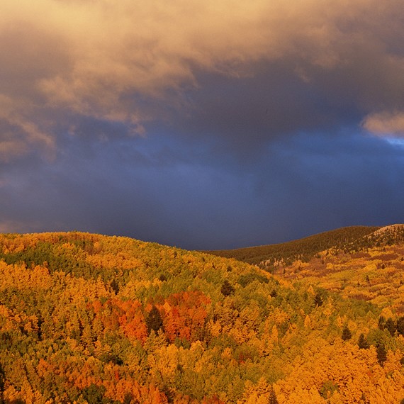 getty_taos