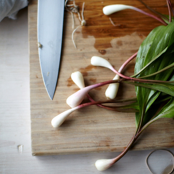 onions knife onions knife
