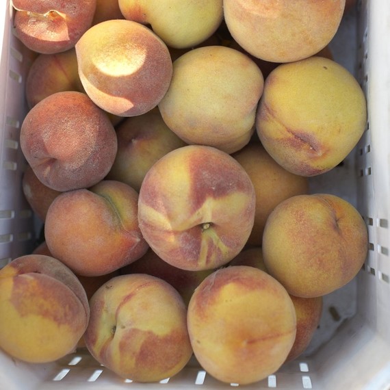 peaches peaches