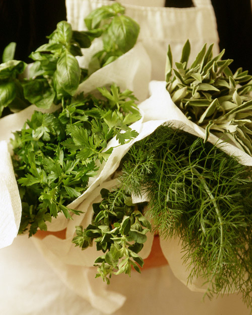 a97120_hqcb_herbs.jpg