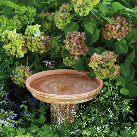 birdbath-md107956.jpg