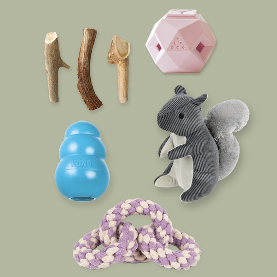 dog chew toys dog chew toys