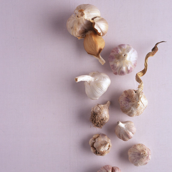 garlic-a101240_03.jpg