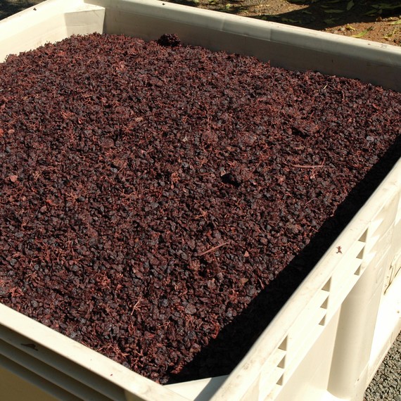 grape-pomace-0315