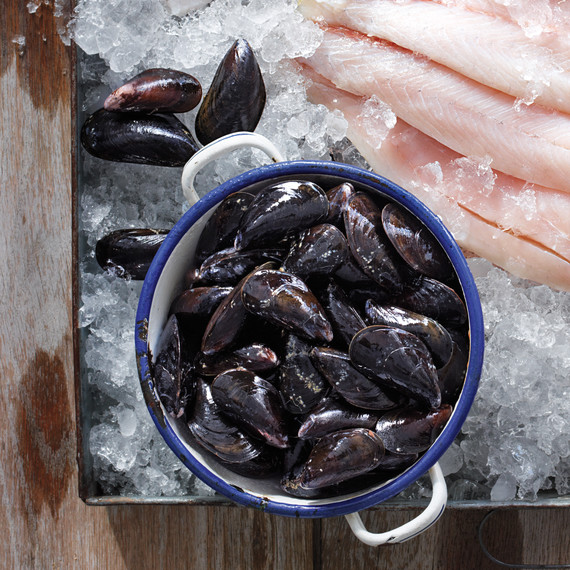 mussels-mbd108286.jpg