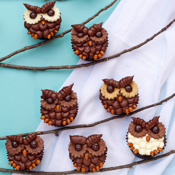 owl-cupcakes-1015.jpg (skyword:195054)