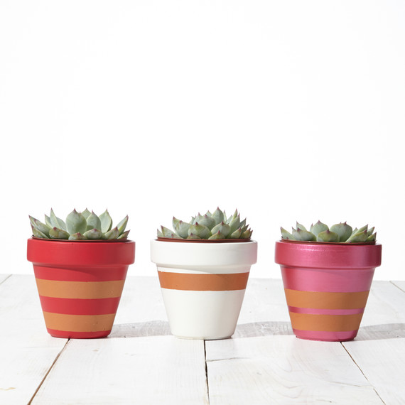 pots-0007-d112265.jpg