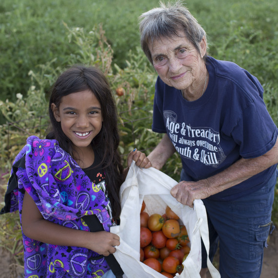 seeds-of-change-1