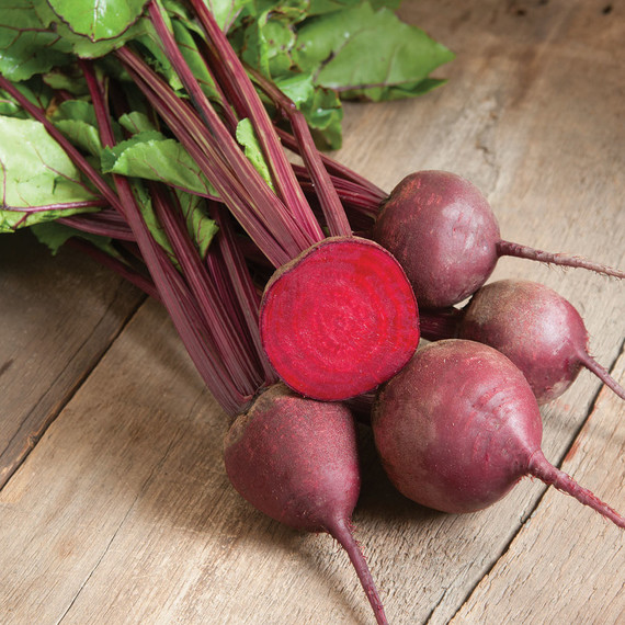 beets-red-ace-0328