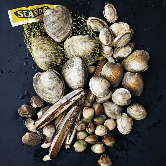 clams-026-md110163.jpg
