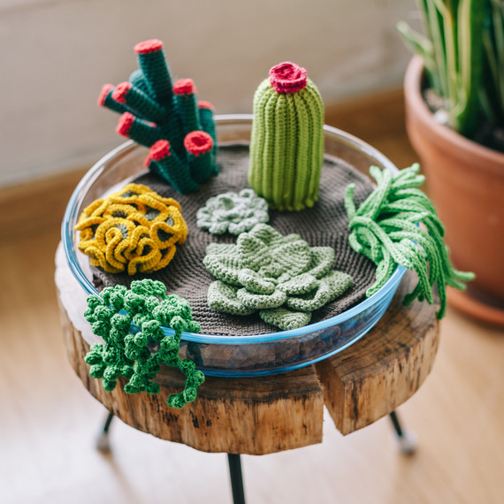 How to Crochet a Terrarium (Including 7 Different Succulents)