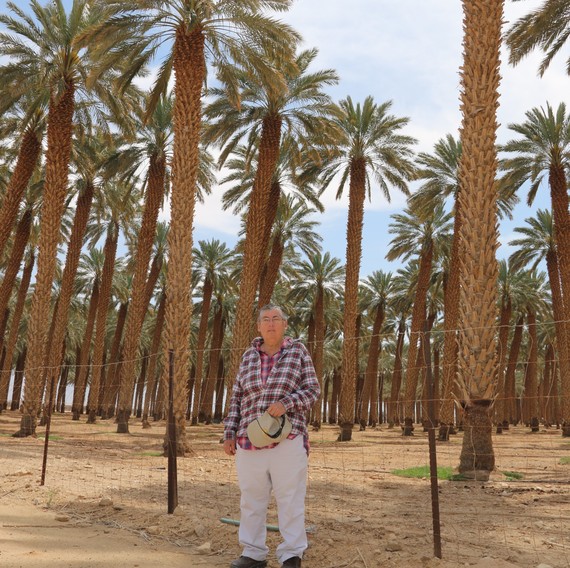 Dr. Elaine Solowey Dr. Elaine Solowey, Director of the Center for Sustainable Agriculture at the Arava Institute in Ktura,