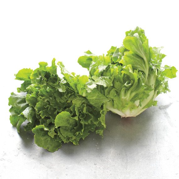 escarole-med108218.jpg