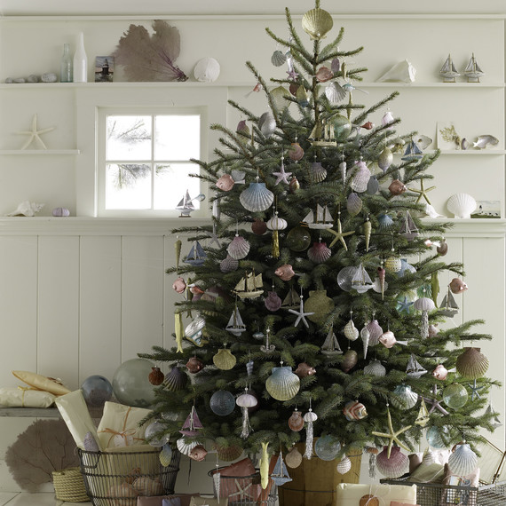 mld105140_1209_seashl_tree.jpg