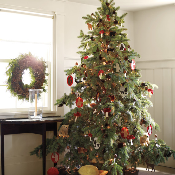 tree-971-mld108759.jpg
