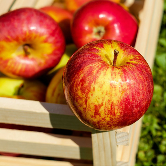 apple-for-that-1016