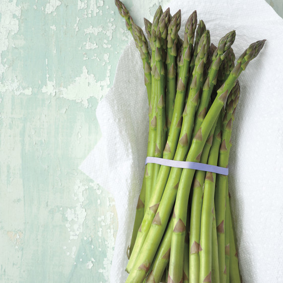 asparagus bunch bound asparagus bunch bound