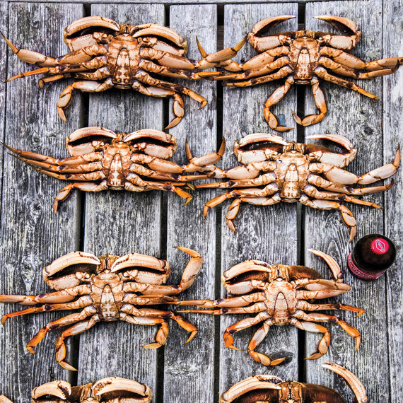 crabbing-28-d111488.jpg