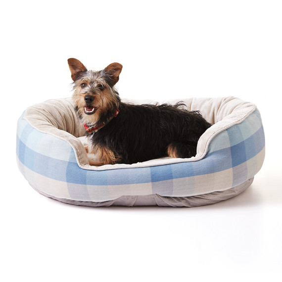 dog-bed-276-d111919.jpg