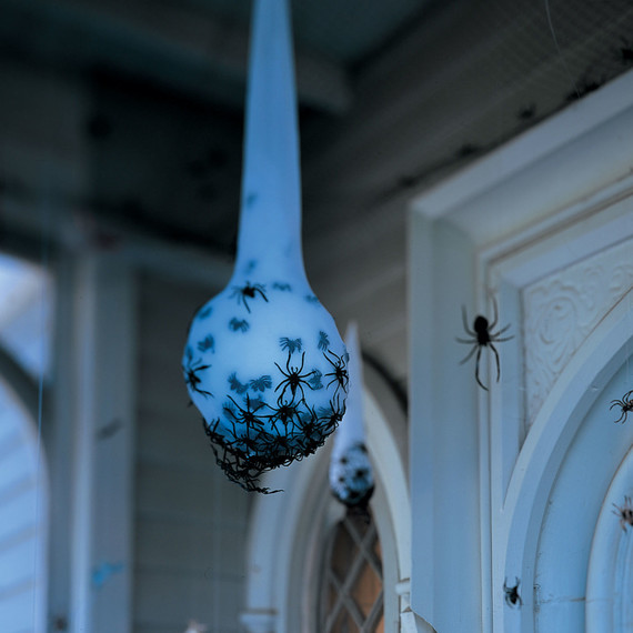 egg-sac-1010sip1003_vert.jpg (skyword:355221)