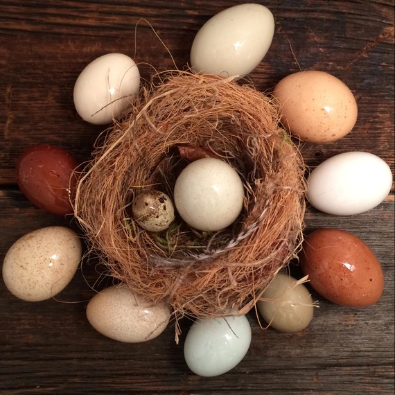 glaze-egg-nest-0215