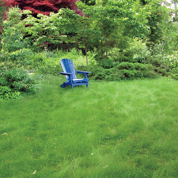 harris-lawn-s110938.jpg