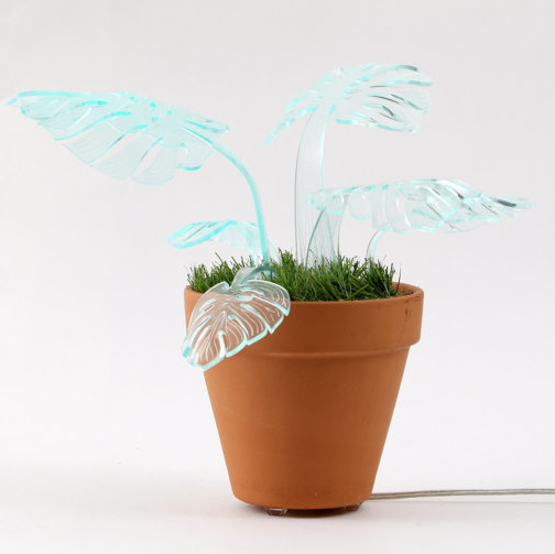 plant lamp off plant lamp off