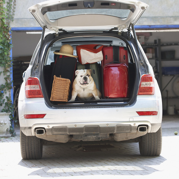 roadie_moving_company