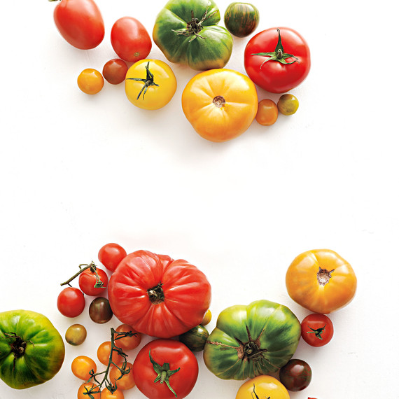 various tomatoes various tomatoes