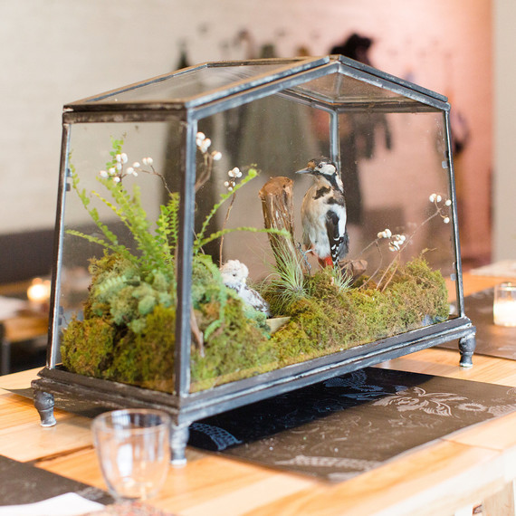 victorian_terrarium_1015.jpg (skyword:192929)