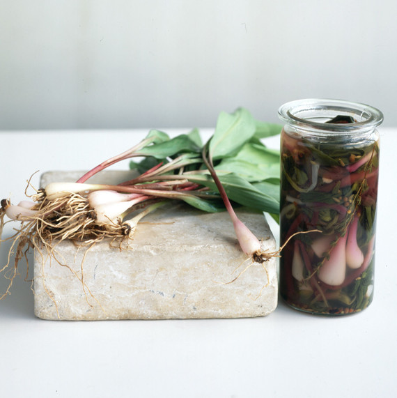 veggies in a jar veggies in a jar