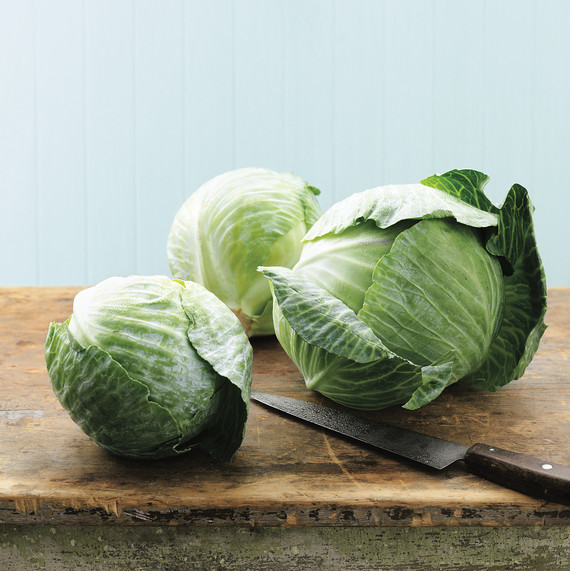 cabbage cabbage